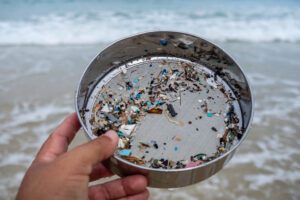 Environmentalists filter the microplastic waste contaminated with the seaside sand.