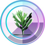Kelp Koin coin