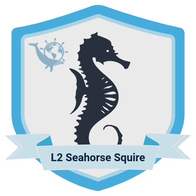 L2 seahorse squire